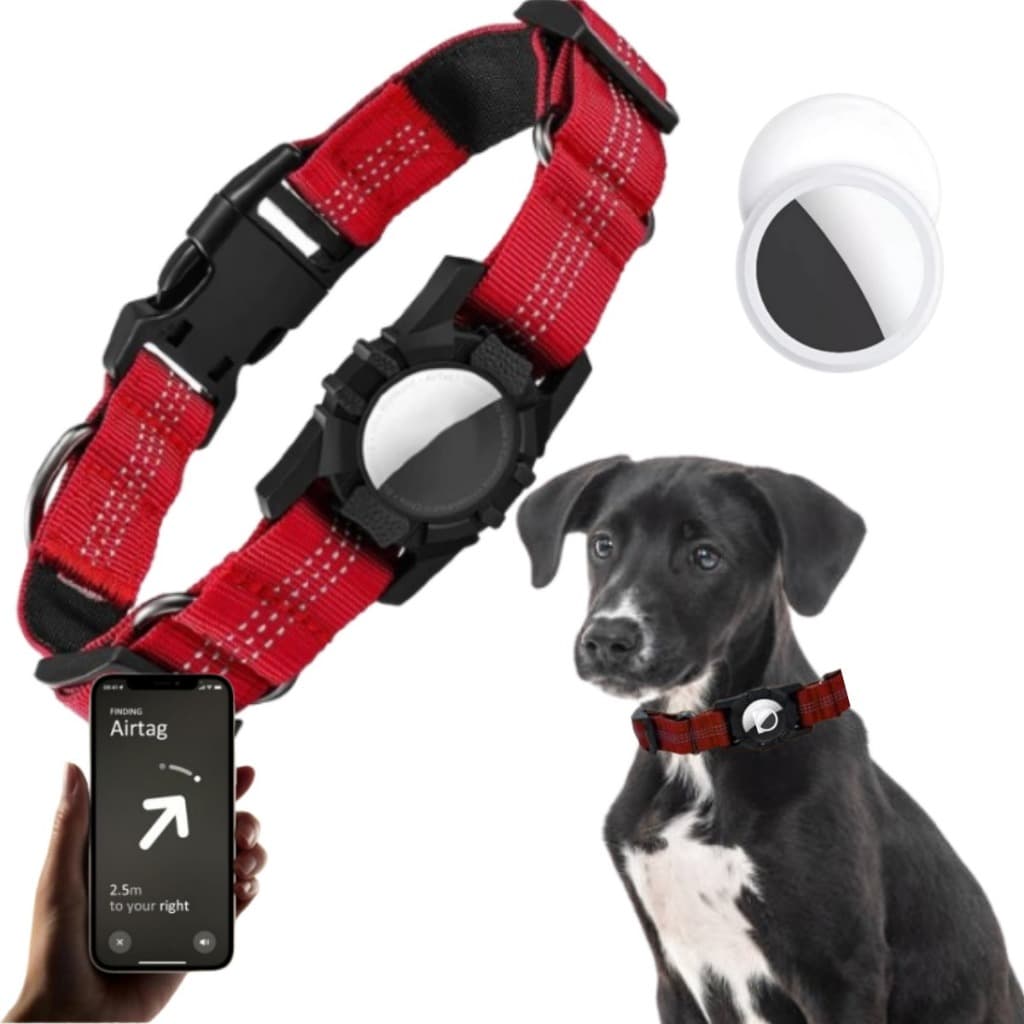 Coleira de Cachorro ENCAIXE TAG Localizadora Reflexiva Air Tag COLLAR DURAVEL RASTREAMENTO 35 A 43CM