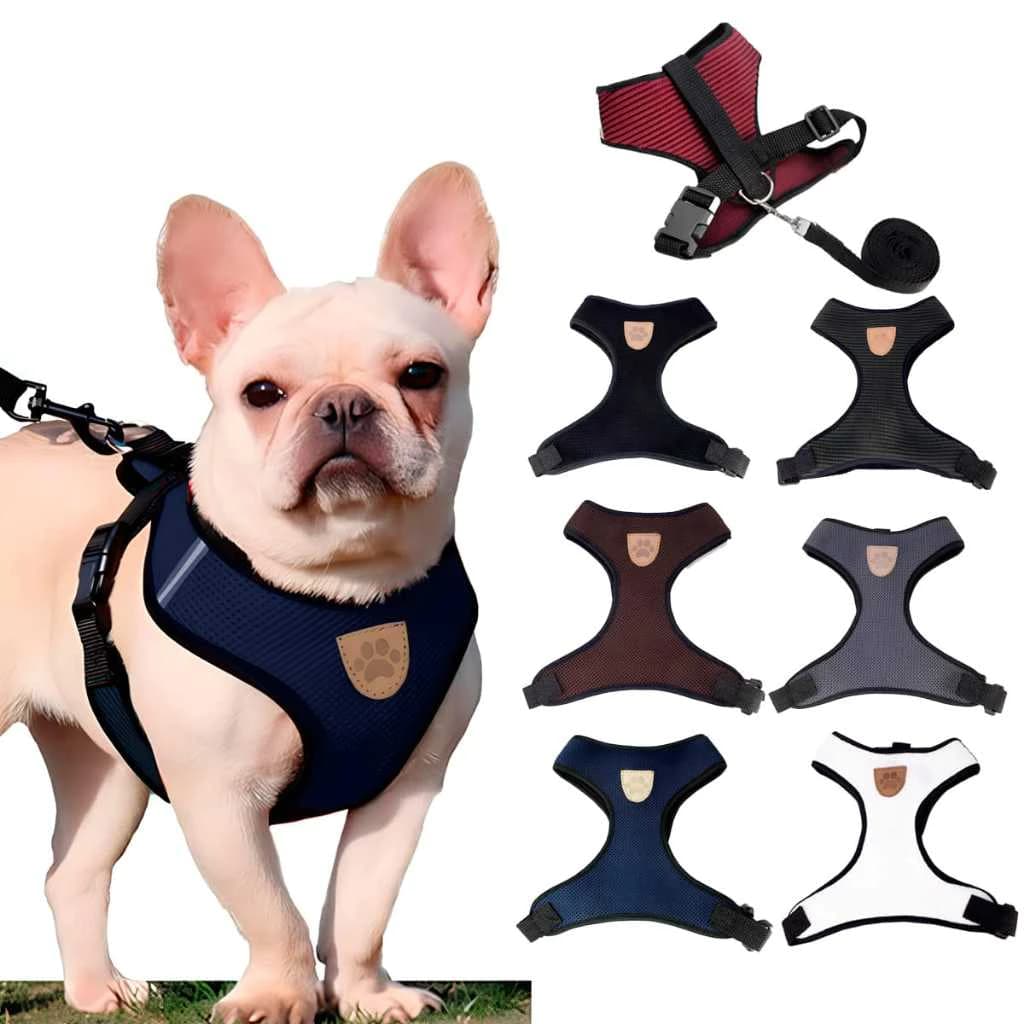 Coleira Peitoral Cachorro E Gato, Conjunto De Guia + Coleira Tipo Colete Para Pet