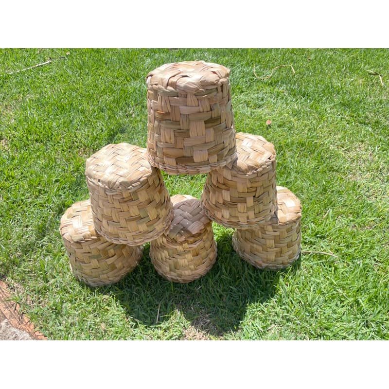 Kit com 6 Cestos Circular de Palha de Taboa