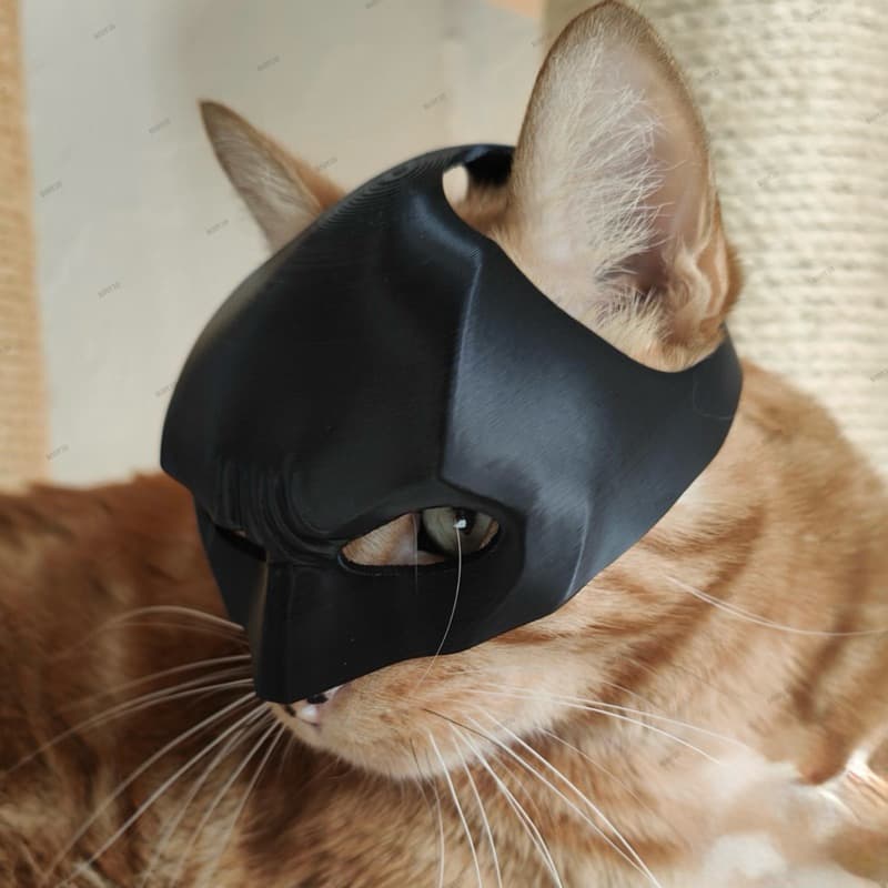 Máscara para gatos estilo Batman