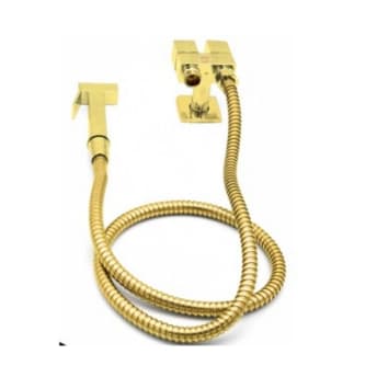 Ducha Higiênica Registro 2 Saídas Metal Dourado Brilhante