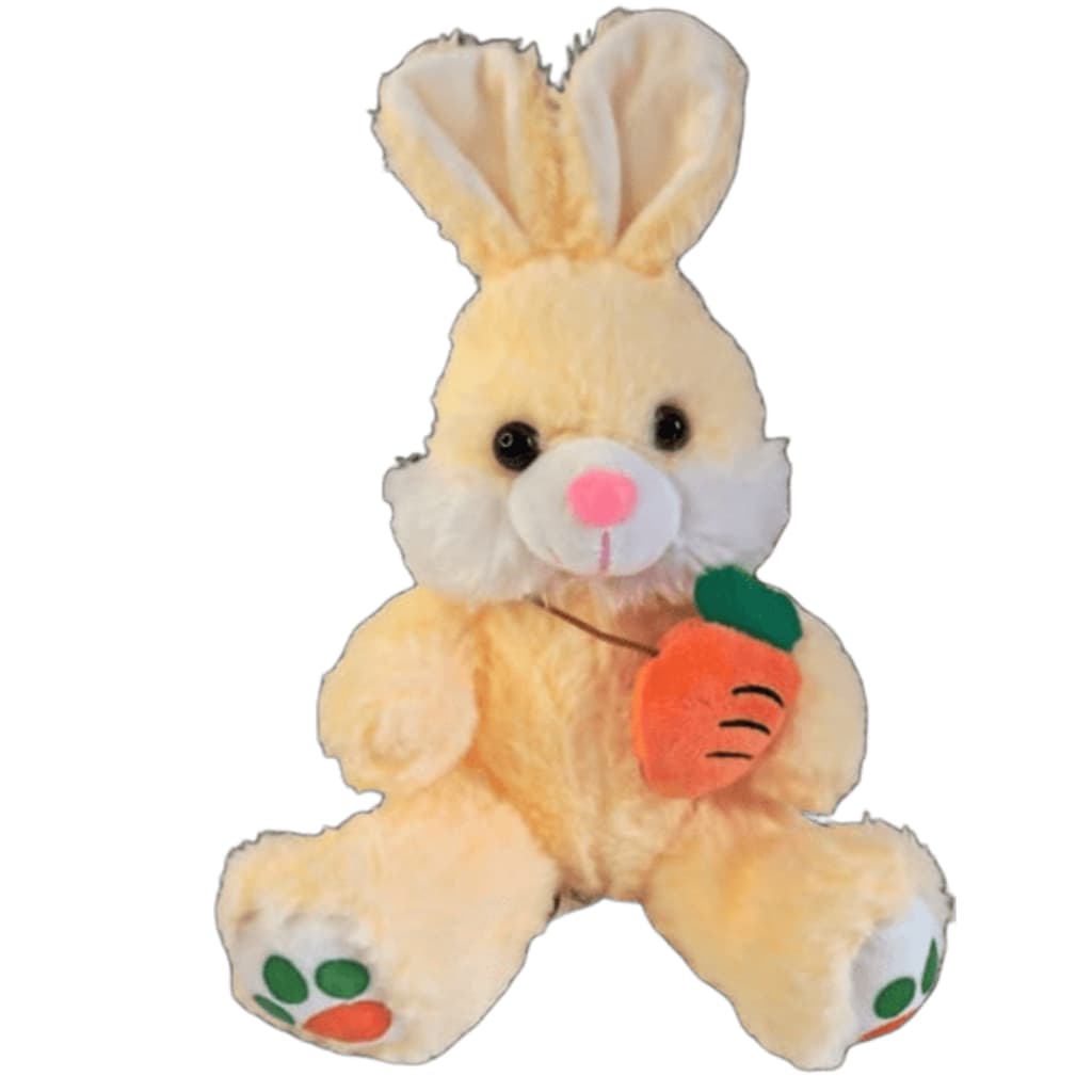 Coelhinho de Pelucia Brinquedo Coelho da Pascoa com cenoura Infantil Hipoalergico 30cm Criança
