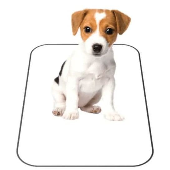Kit 3 Tapete Higiênico Pets Lavável Preto/Rosa Resistente 70 Cmx50 Cm
