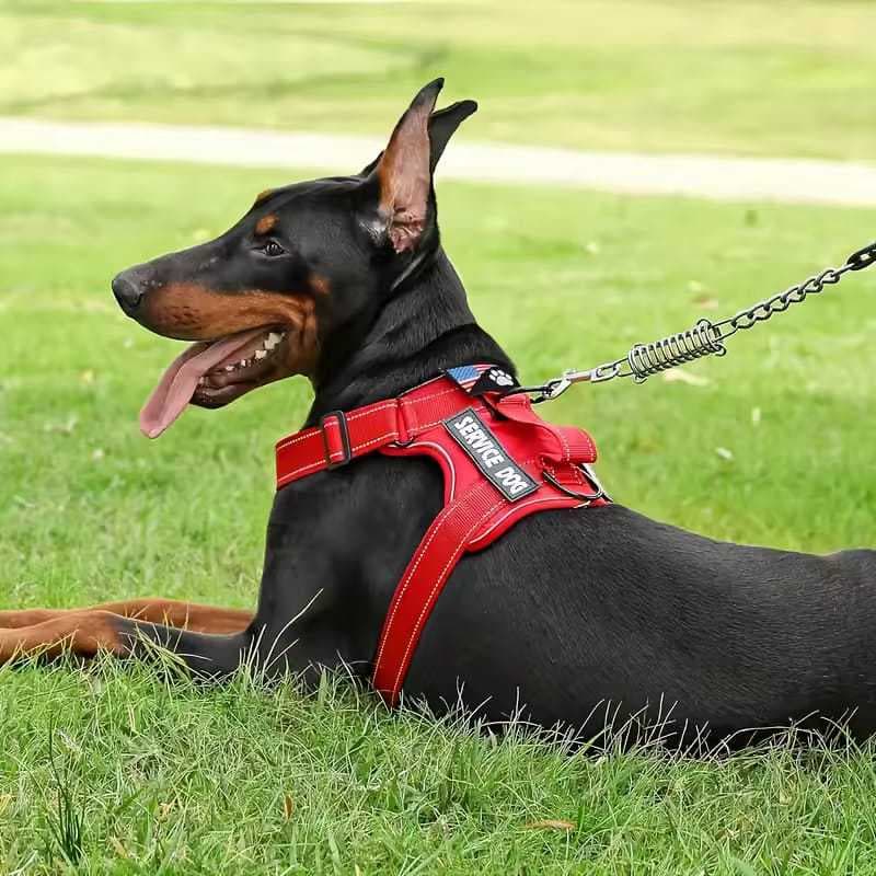 Peitoral Com Regulagem Coleira Refletiva Cachorro Porte Medio e Grande Reforcado Confortavel Ajuste