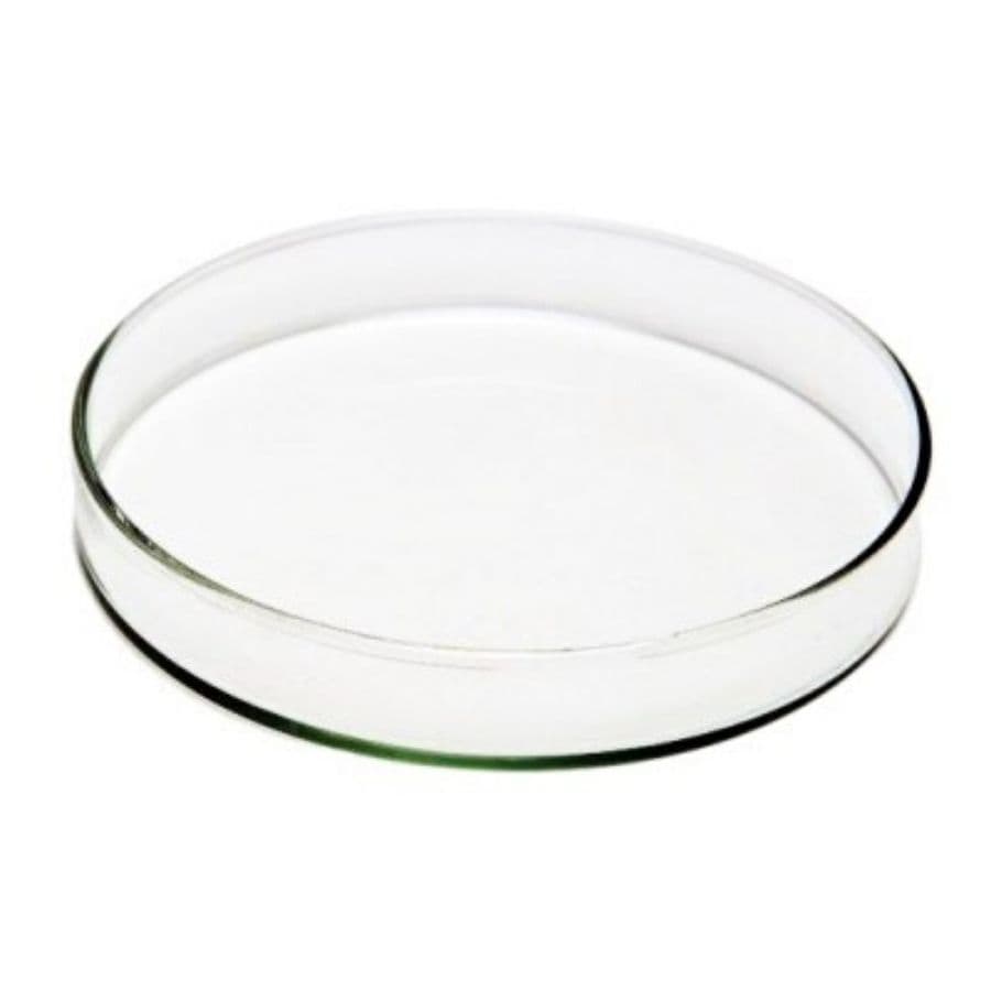 Placa de Petri em Vidro Tamanho: 90x15mm - Vidraria de Laboratório