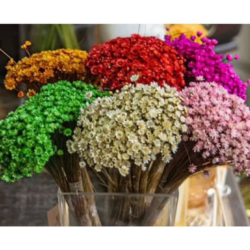 200 florzinhas Flor sempre viva decoração, lembrancinhas casamentos