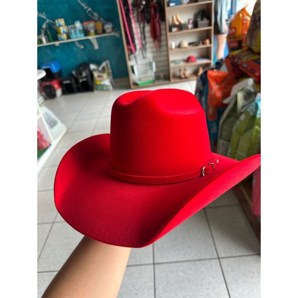 Chapéu de Cowboy Country Masculino e Feminino Adulto Boiadeira Vaqueira Fantasia Festas Cosplay Ana Castela