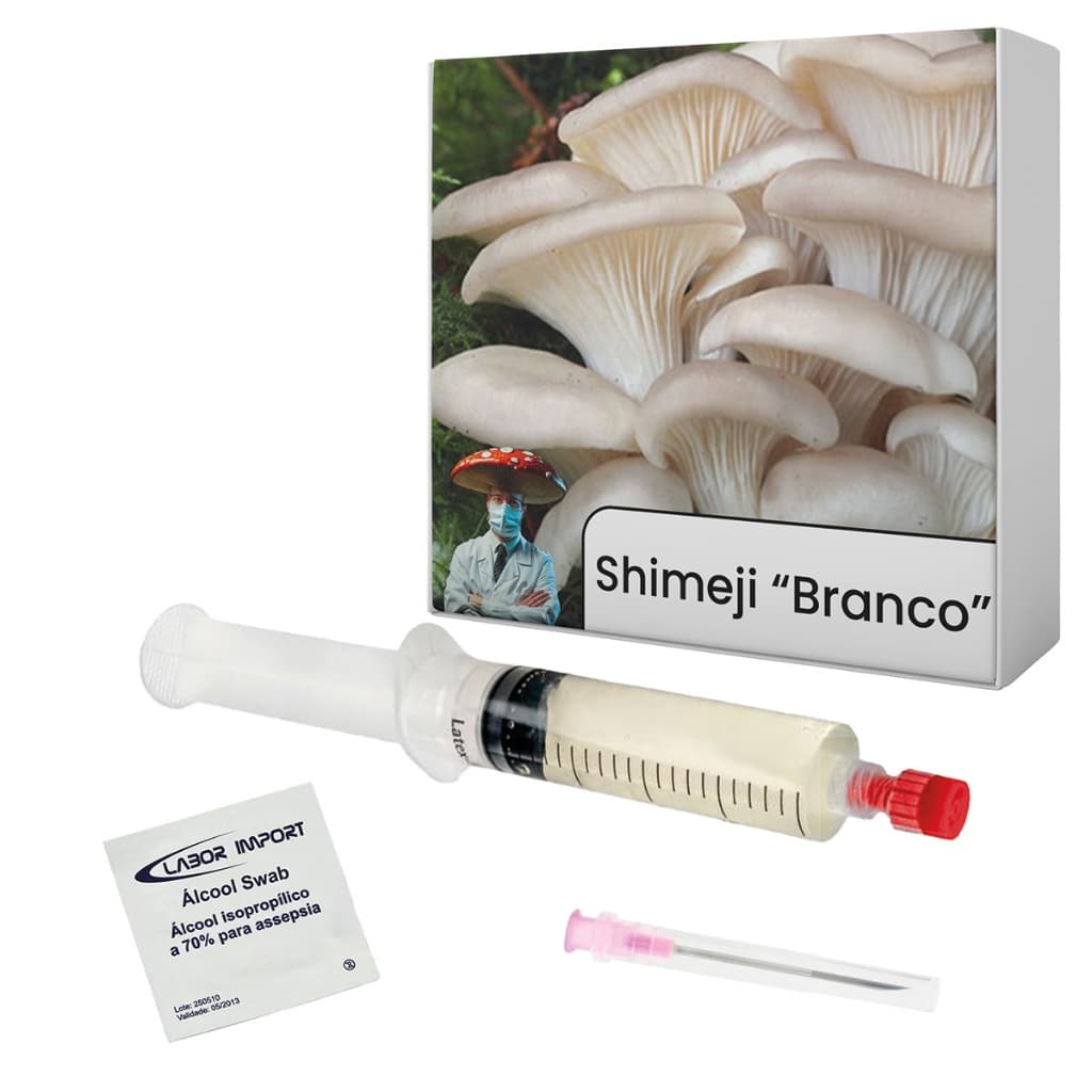 Semente de Shimeji Branco 10ml Cultura Líquida Cogumelo Pleurotus ostreatus Seringa Micélio