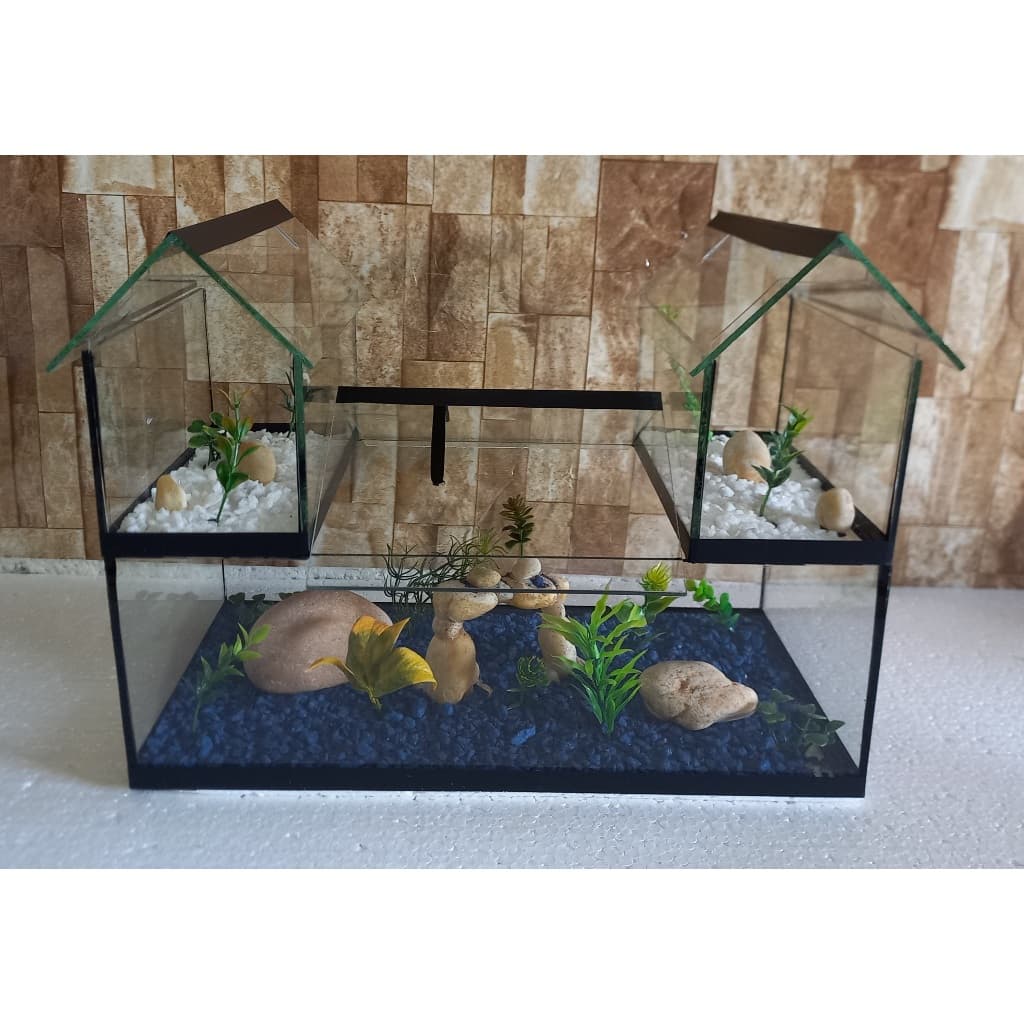 Aquário Beteira Castelo V Tripla 3 Compartimentos Versão Maior Peixe Betta Decorado