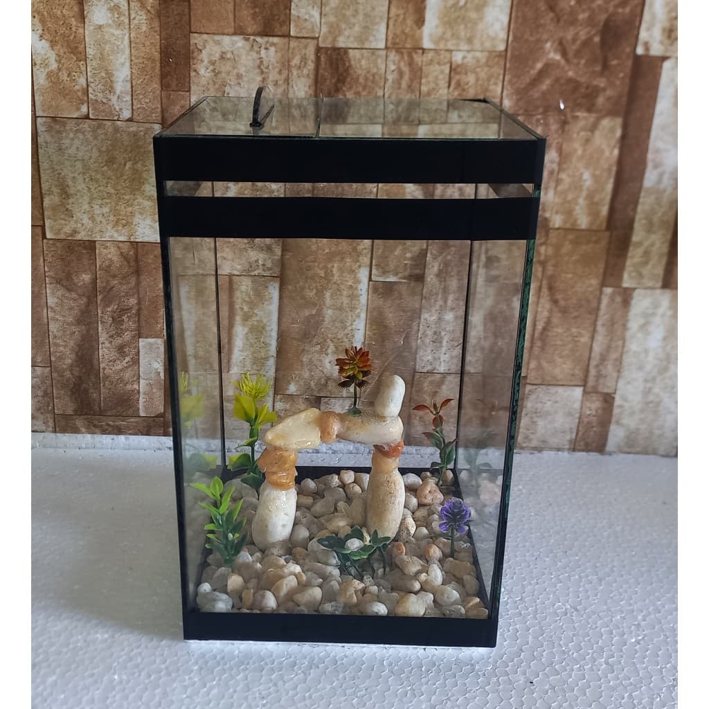Aquário Beteira Tubular Cubo Decorada Peixe Betta 6 Litros (até a borda)