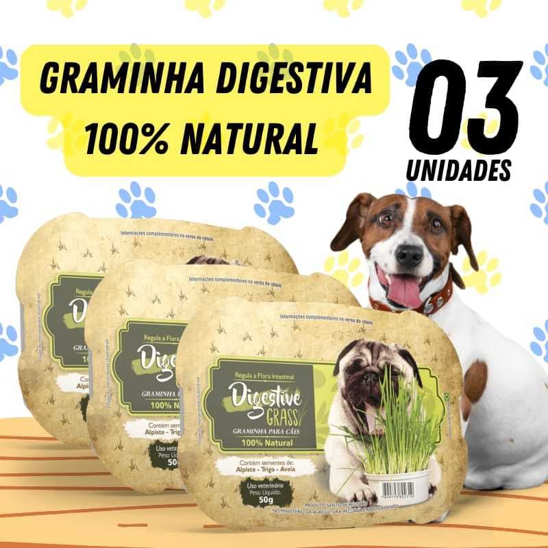 3UN Graminha Cachorro Auxilia digestão pet Elimina toxinas Digestive Grass Ipet 50g