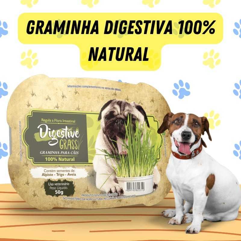 Graminha Cachorro Auxilia Digestão Pet Elimina Toxinas Digestive Grass Ipet 50g