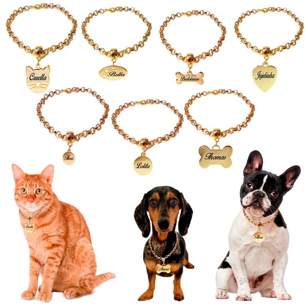 Coleira Identificação Corrente Placa Nome Telefone Gravado Laser Plaquinha Dourado Cachorro Gato Pet Personalizada