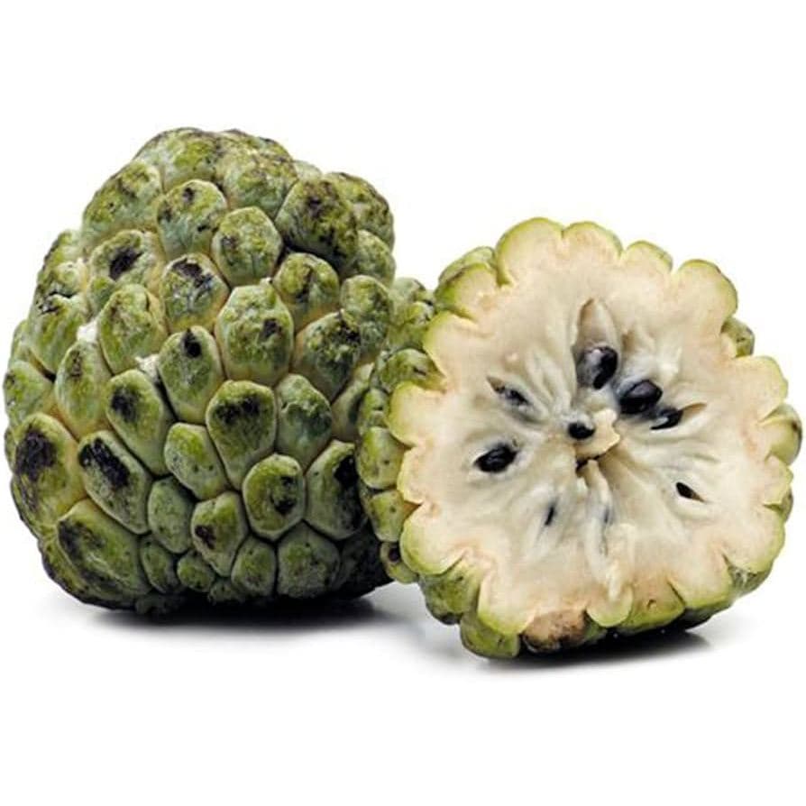 Sementes de Pinha ou Fruta do Conde da Serra(para plantio)
