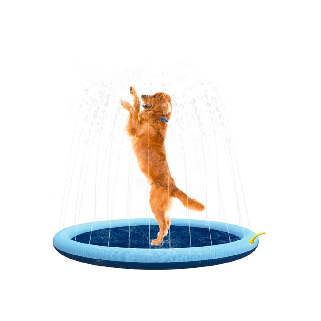 Tapete Piscina Chafariz Para Cachorros e Pets Infantil Agua Verao