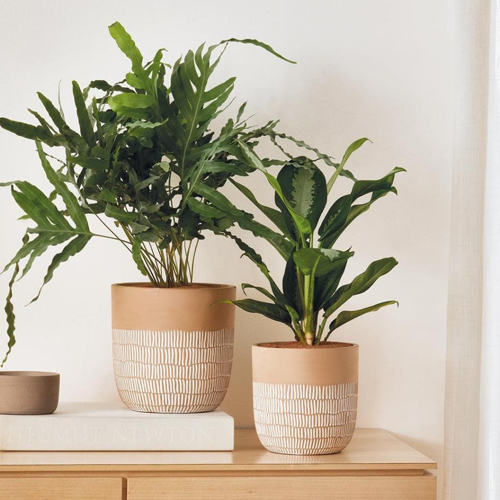 Vaso cachepot em cimento - Bege e Branco - MART 13331.
