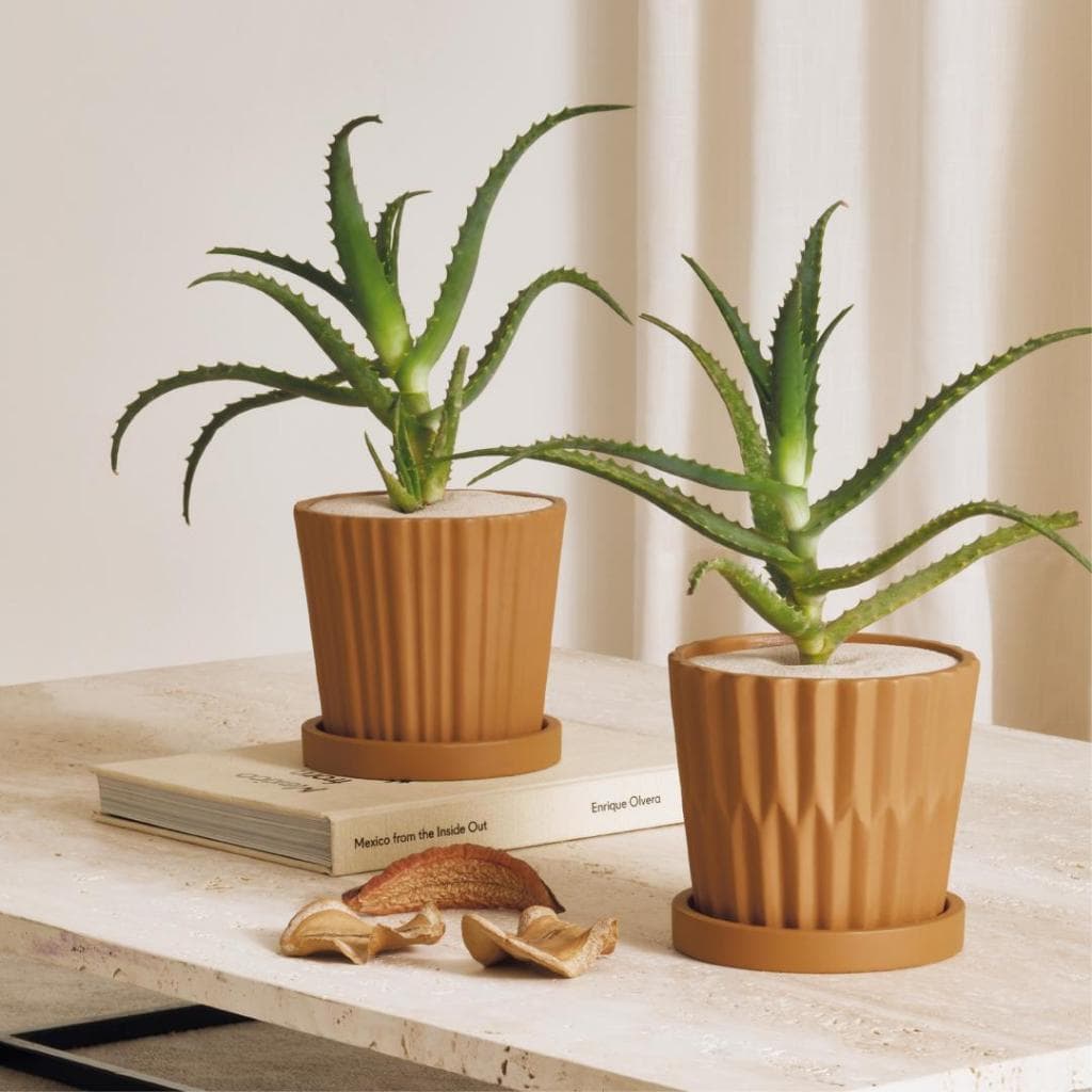 Vaso cachepot em cimento - MART 13456