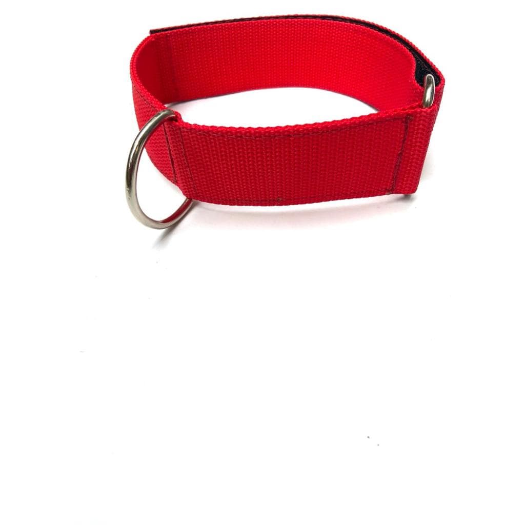 coleira para cachorros de medio e grande porte com velcro facil colocação
