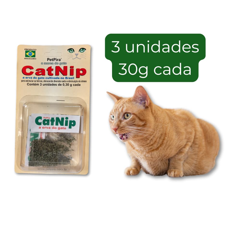 Catnip erva de gato 3 unidades de 30g