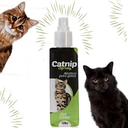 Catnip Premium 120ml - Spray Envio Rápido Erva dos Gatos Natural Original