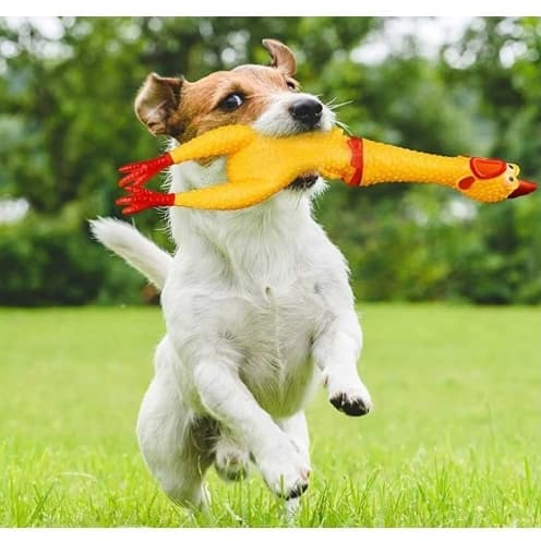 Galinha Frango Borracha Mordedor Cachorro Pet Faz Barulho Brinquedos Cachorro Interativo