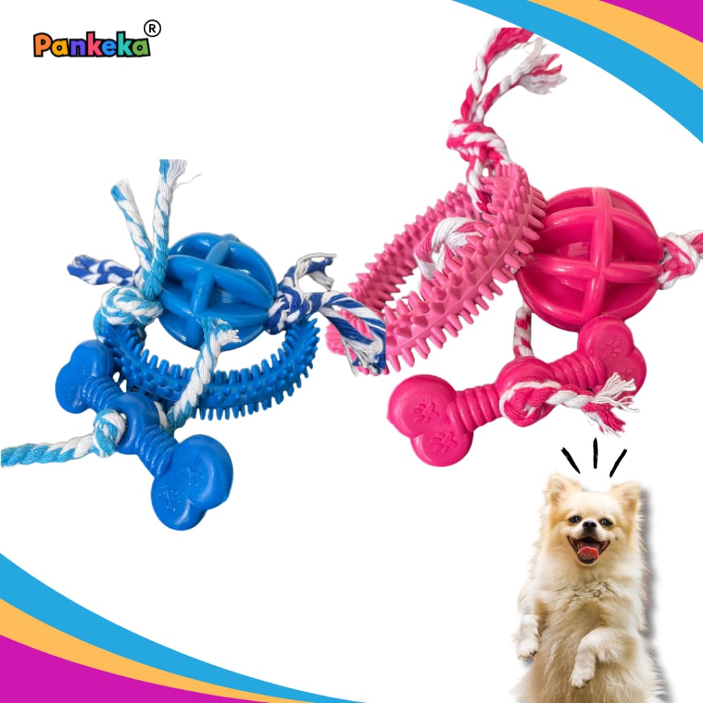 Kit Brinquedos Para Cachorro Anêmona + Bola Carambola Com Corda + Ossinho Com Corda para Cães - brinquedopet