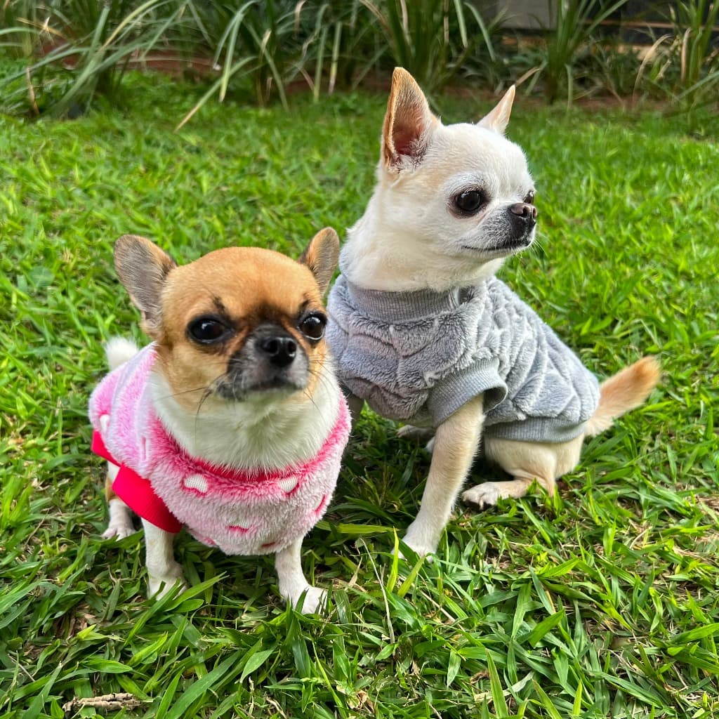Roupa pet  inverno fleece brilha no escuro para cahorro e gato, Tamanho pequeno ao grande