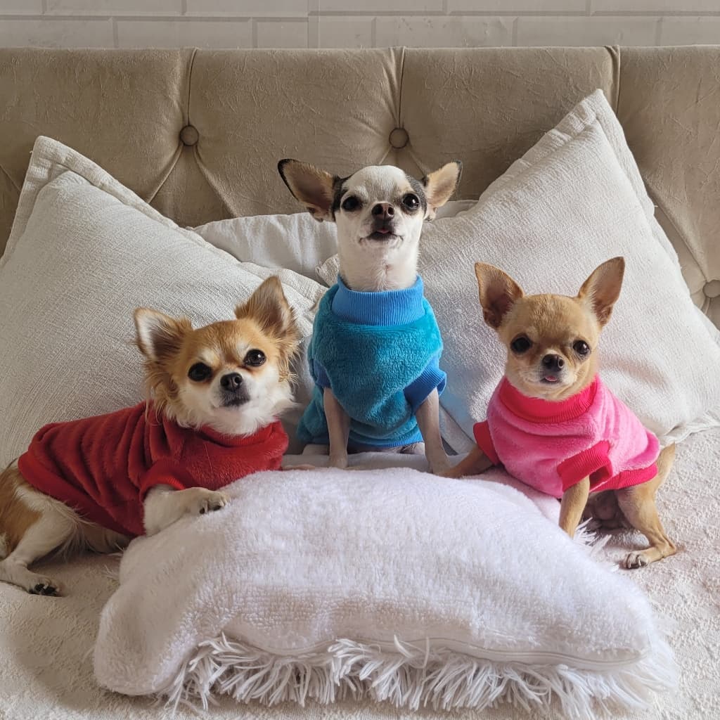 Roupa pet inverno para cachorro e gato de fleece