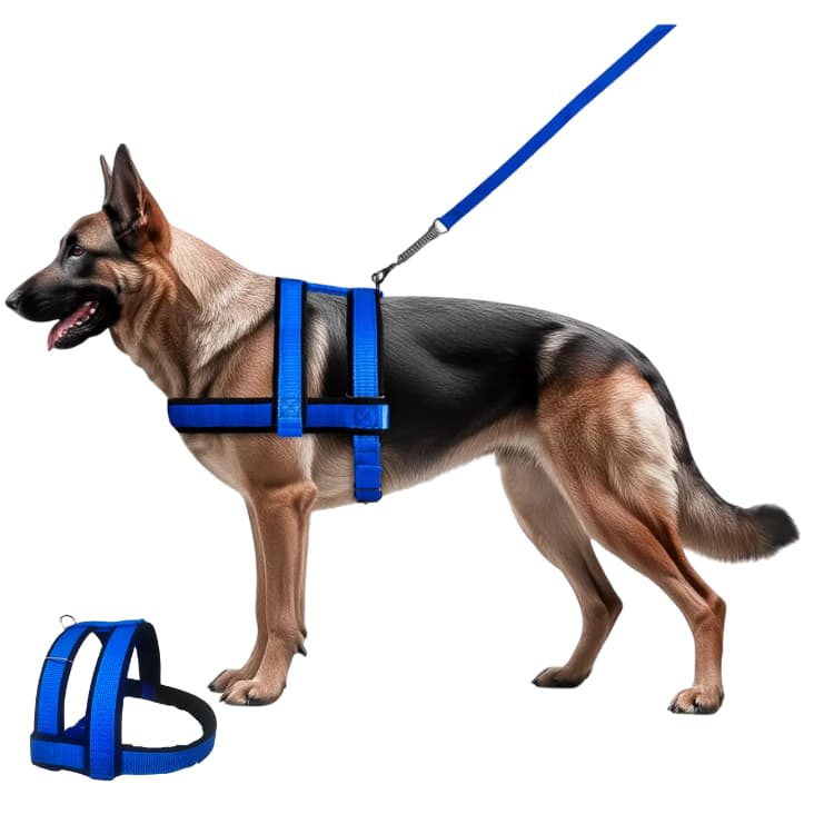 Coleira Peitoral Cachorro Guia Adaptador Doberman Pit Bull M