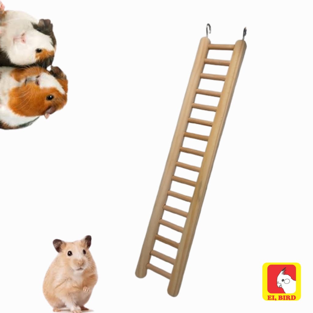 Escada Hamster Ratos Twister Porquinho da Índia e Demais Roedores Ei Bird