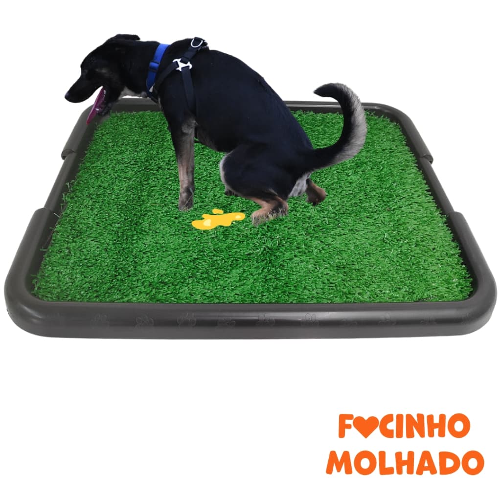 Sanitário Canino com Grama Sintética para Cães Educador Sanitário Brinqpet