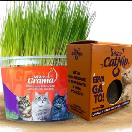 Catnip Erva do Gato (2g) e Graminha Digestiva para Gato e Cachorro Mister Grama com Semente Haiglas