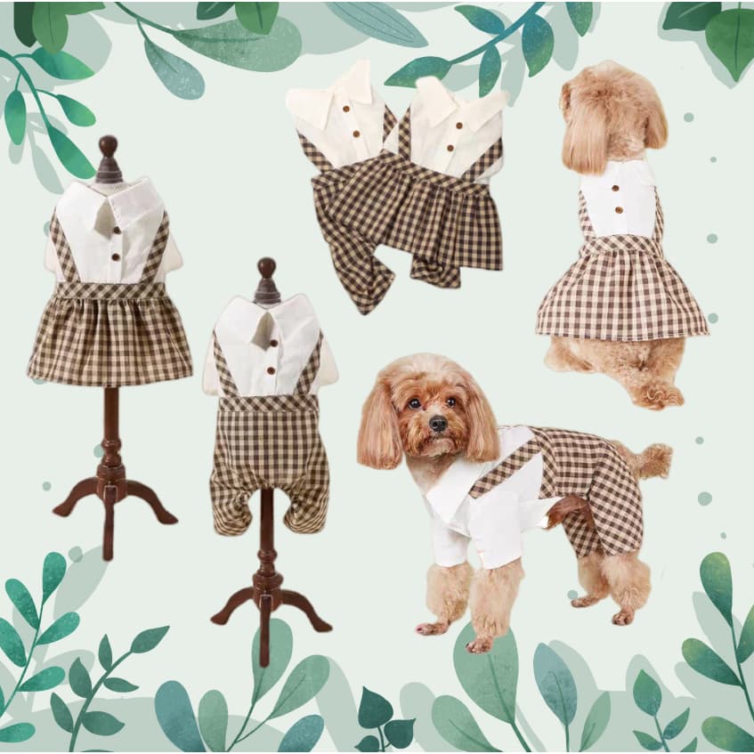 Roupa Pet De Casal Para Dia Dos Namorados Date Macacão Vestido Social Romântico Confortável Estiloso Bonito Criativo