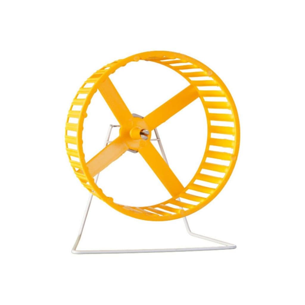 Roda Hamster Plástica Gaiolas Londrina