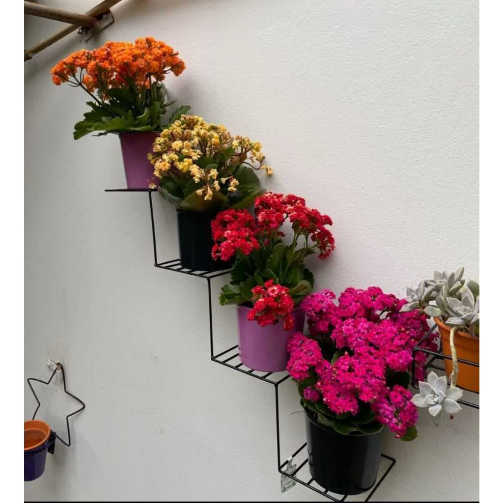 Escadinha Suporte de Parede p/ Vasos 4 Lugares em Ferro – Decoração  Jardim Vertical Plantas Flores