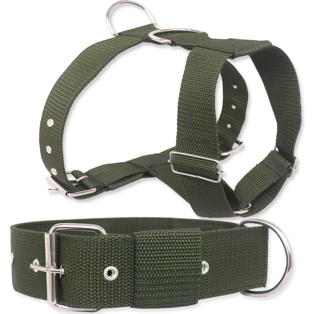 coleira para cachorro mais peitoral tração kit tático