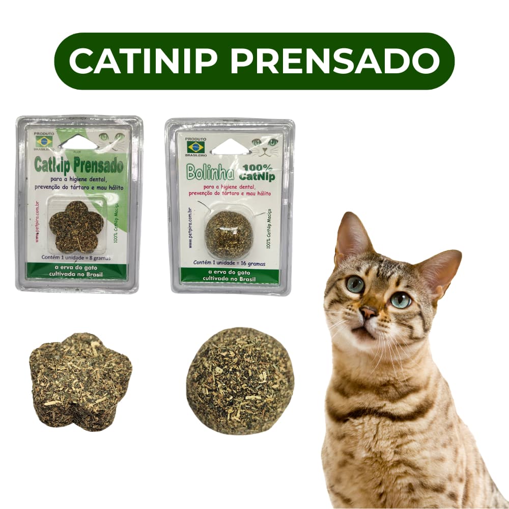 Catnip prensado erva de gato natural antiestresse - 8g/16g