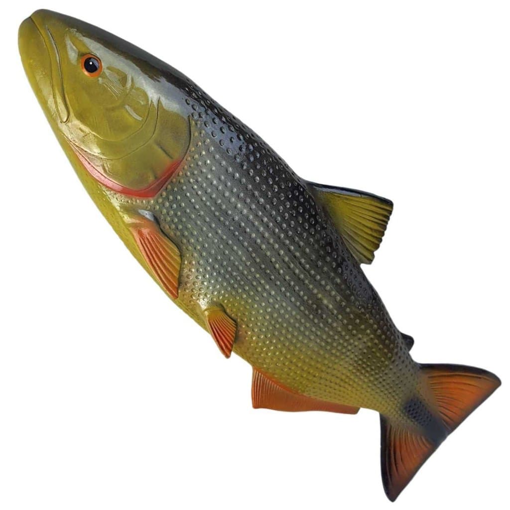 Peixe Dourado Agua Doce De Resina Para Decoração De Parede 76cm