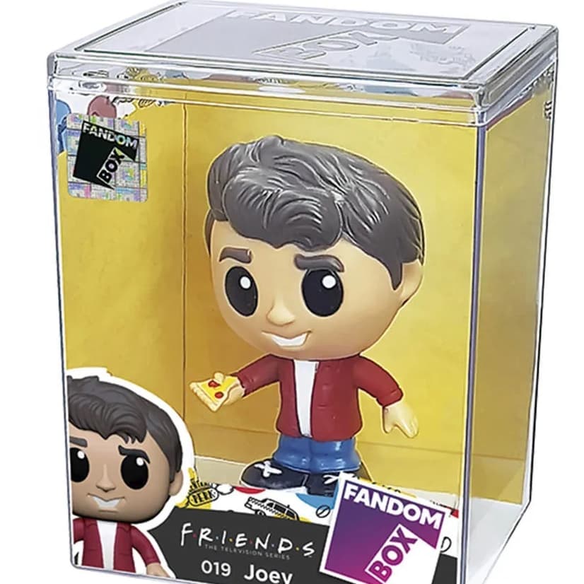 JOEY FRIENDS FANDOM BOX LIDER
