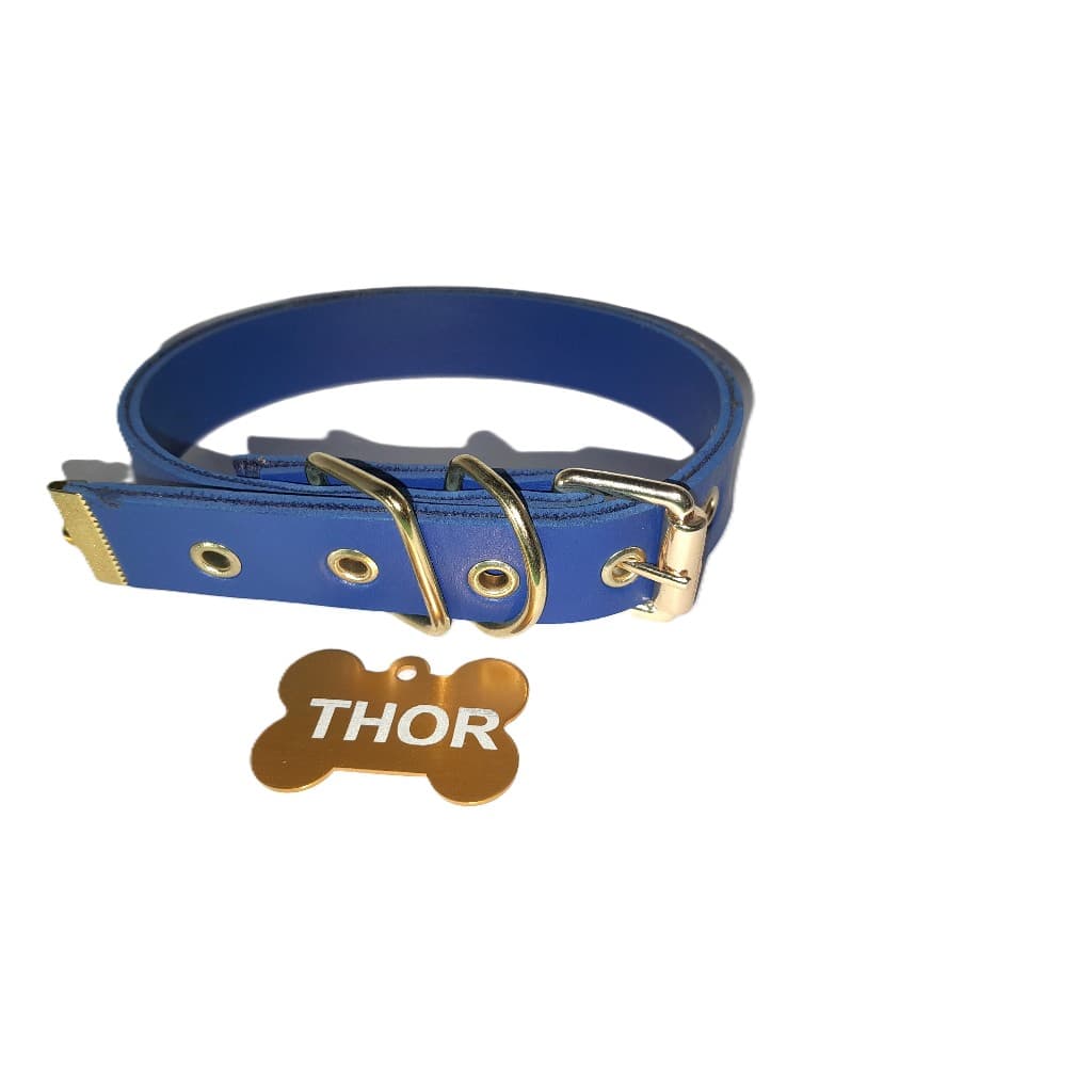 Coleira Personalizada p/ Pet