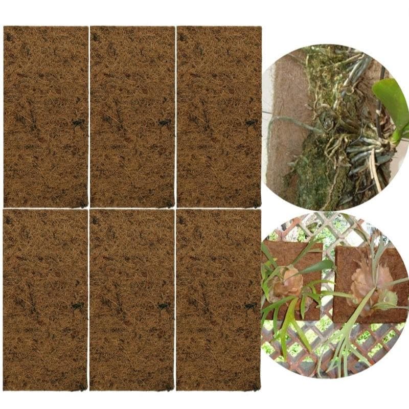 6 Placa Painel De Fibra De Coco Jardinagem 30x15 Plantas Natural Para Prender Orquidea Chifre de Veado Planta Trepadeira