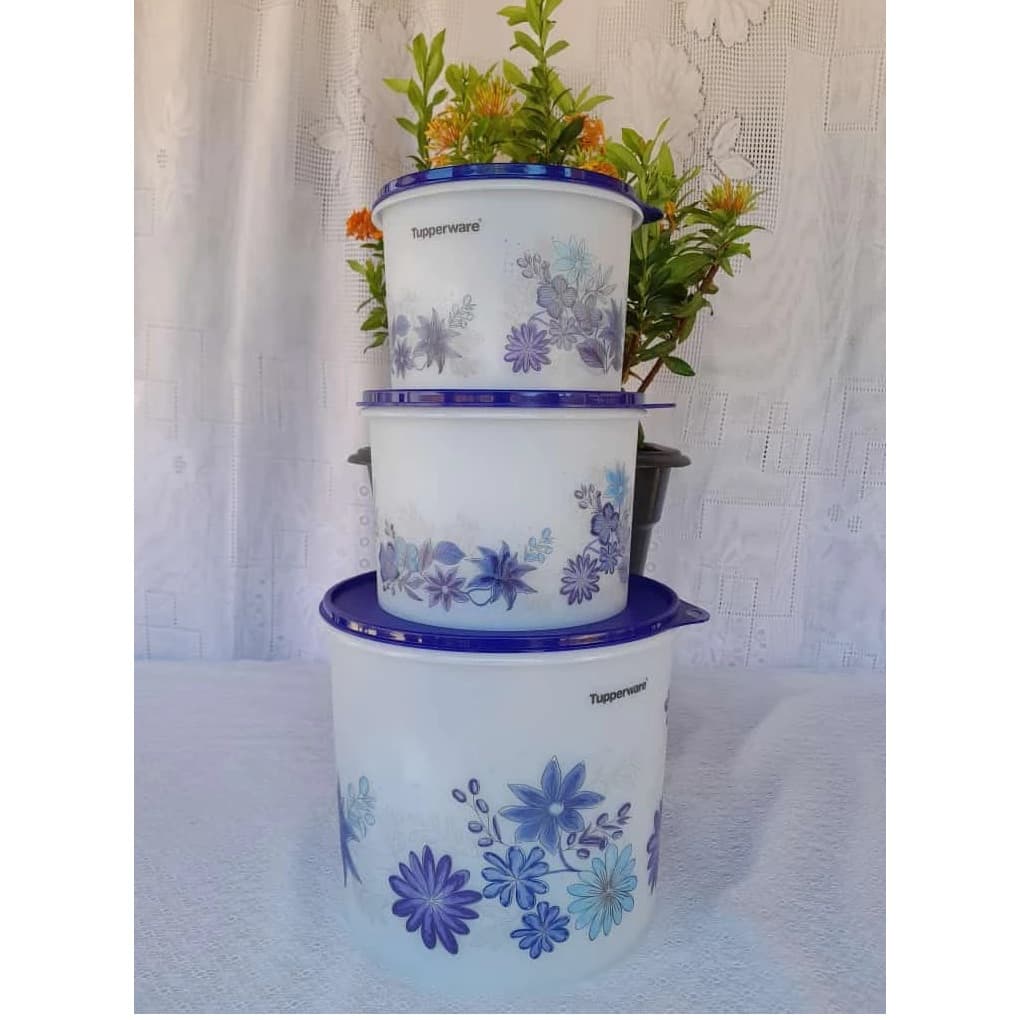 Porta Mantimentos Tupperware Aquarela