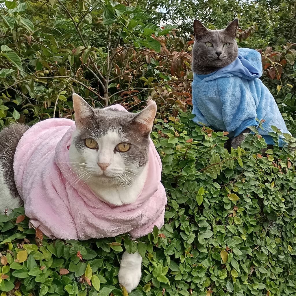 Roupa pet  com capuz em Fleece Texturizado casaco para cachorro e gato
