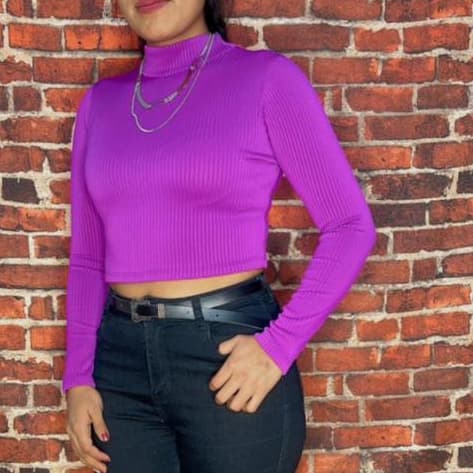 CROPPED FEMENINO, CROPPED MANGA COMPRIDA, BLUSA FEMENINA BASICA