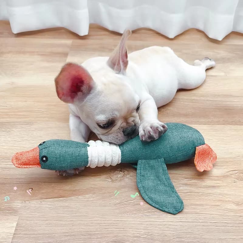 Brinquedo Pelúcia Pato Azul com Apito para Cachorro e Gato | Brinquedo Interativo Pet com Som