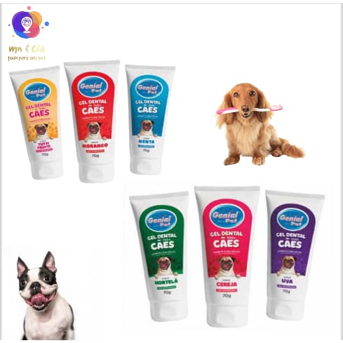 Gel Creme Dental Pasta de Dente Para Cachorro Gato Genial Pet 70g