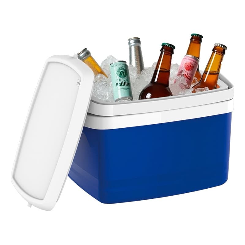 Cooler Caixa Térmica 12 Litros Pequeno Camping Pesca Transporte medicamentos comida de bebê
