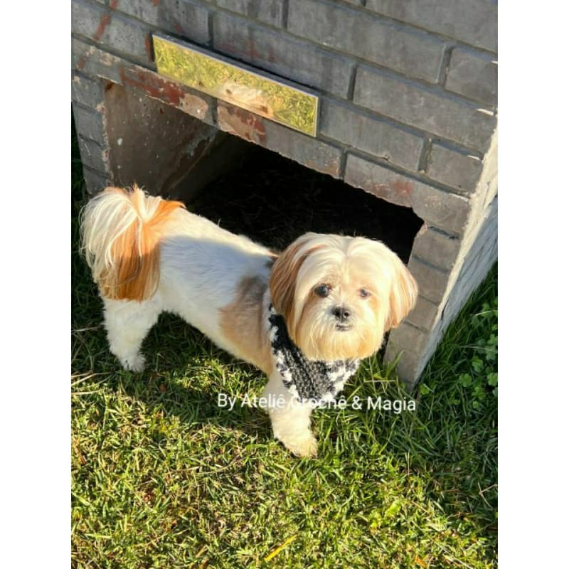 Gola para pet Crochê Tricot outono inverno