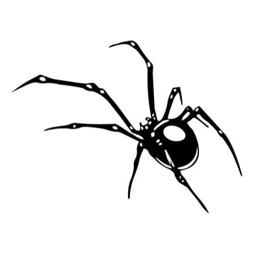 Adesivo Aranha Caminhão Carro Tanque De Moto Sticker/tuning