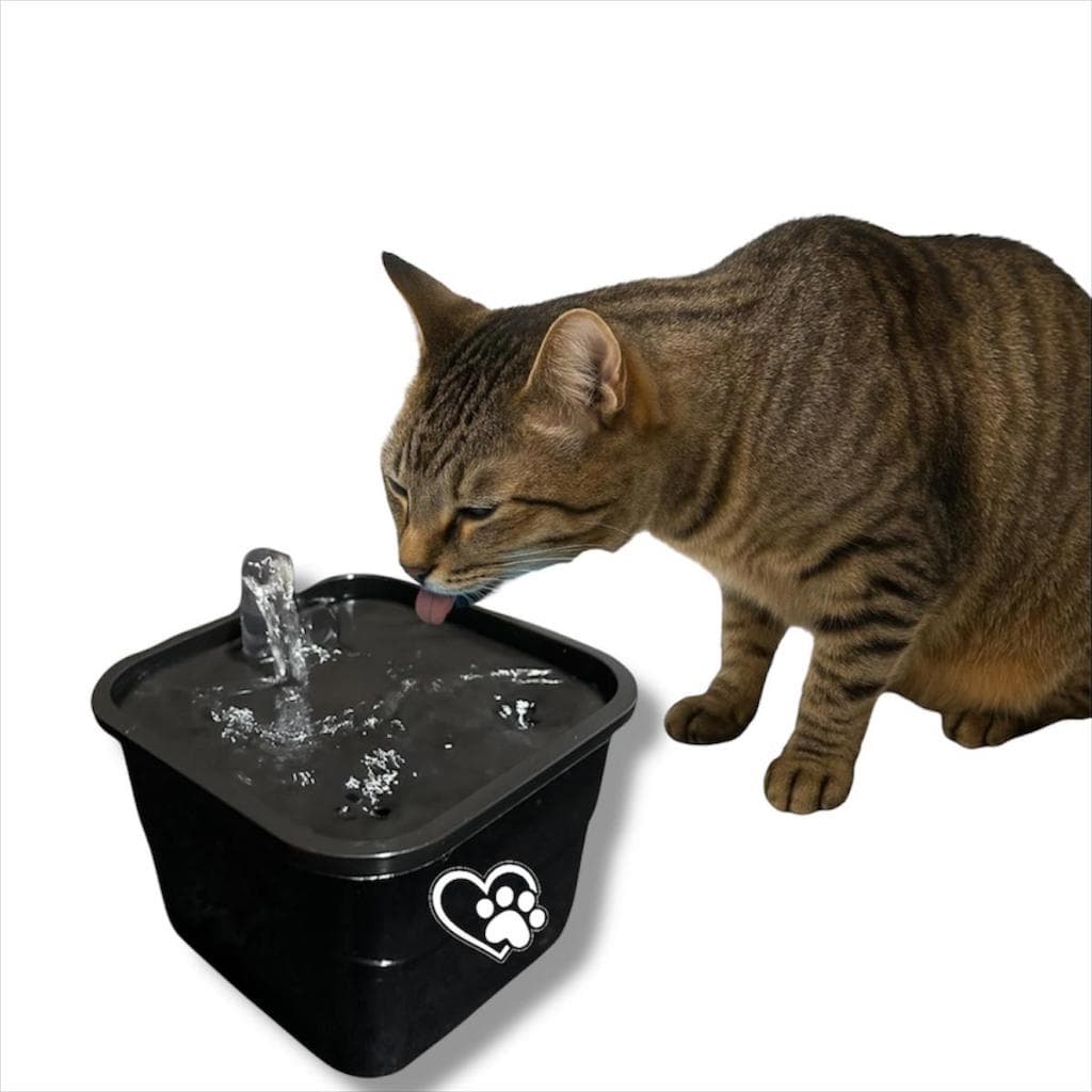 Bebedouro Gato Bebedouro Gatos E Cães Tipo Fonte Água Preto